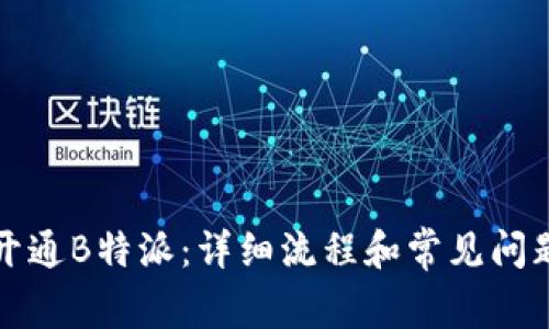 如何开通B特派:详细流程和常见问题解答