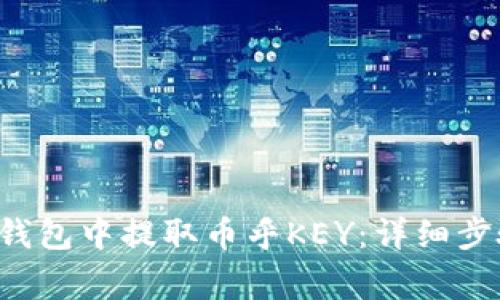 如何在B特派钱包中提取币乎KEY：详细步骤与注意事项