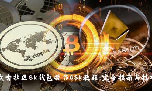 盘古社区BK钱包操作OSK教程：完全指南与技巧