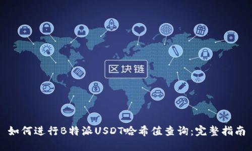 如何进行B特派USDT哈希值查询：完整指南