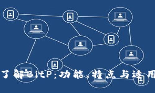 深入了解BitP：功能、特点与适用场景