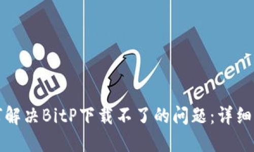 如何解决BitP下载不了的问题：详细指南