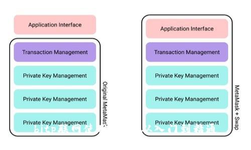 bitp联网使用教程:从入门到精通