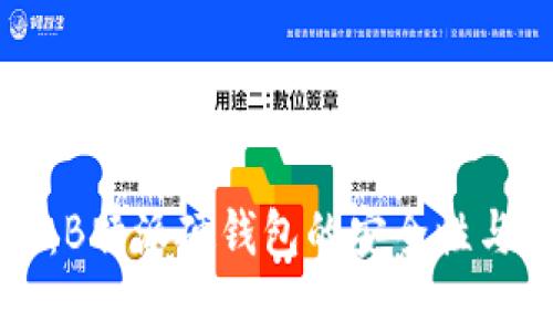 深度解析:B特派硬钱包的安全性与使用指南