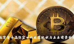数字货币在张家口的发展现状与未来前景分析