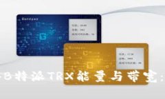 如何获得B特派TRX能量与带宽:全面指南