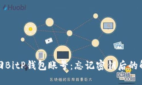 如何找回BitP钱包账号:忘记密钥后的解决方案