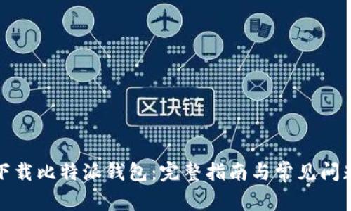 如何下载比特派钱包:完整指南与常见问题解答