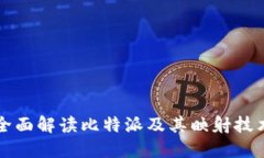 全面解读比特派及其映射技术