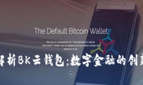 深入解析BK云钱包:数字金融的创新之路