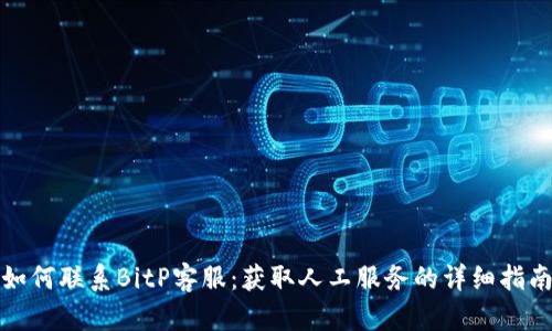 如何联系BitP客服:获取人工服务的详细指南
