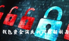 BitKeep 钱包资金消失的问题解析与解决方案