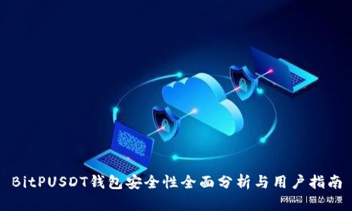 BitPUSDT钱包安全性全面分析与用户指南