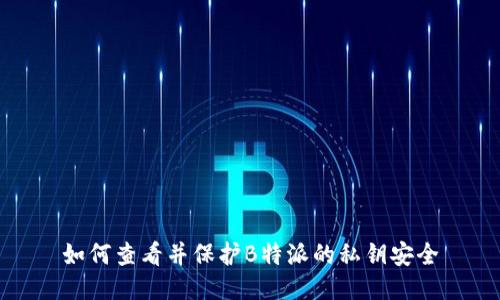 如何查看并保护B特派的私钥安全