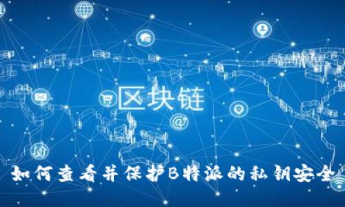 如何查看并保护B特派的私钥安全