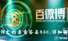Bitpie钱包如何支持多重签名BSC:详细解析与应用