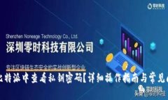 如何在比特派中查看私钥密码?详细操作指南与