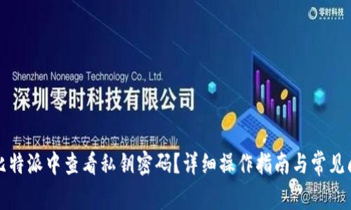 如何在比特派中查看私钥密码?详细操作指南与常见问题解答