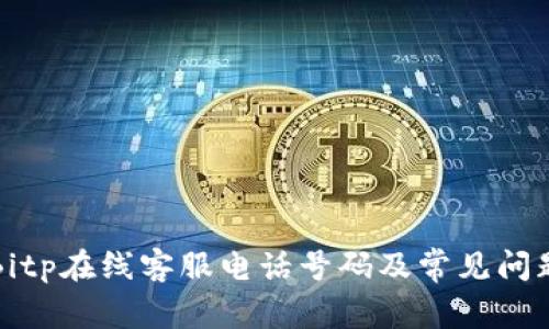 获取Bitp在线客服电话号码及常见问题解答