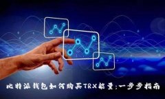 比特派钱包如何购买TRX能量:一步步指南