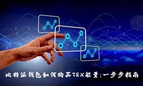 比特派钱包如何购买TRX能量:一步步指南