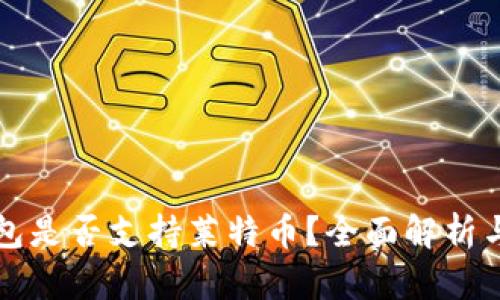 比特派钱包是否支持莱特币?全面解析与使用指南