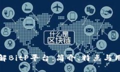 深入了解BitP平台:简介、特点与用户体验