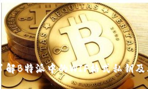 深入了解B特派中的WIF格式私钥及其使用