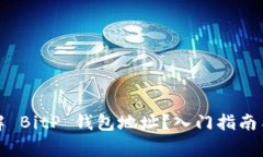 如何查看和理解 BitP 钱包地址?入门指南与常见