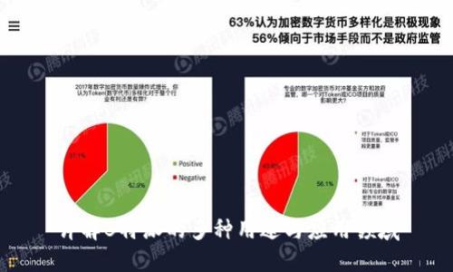 详解B特派的多种用途与应用领域