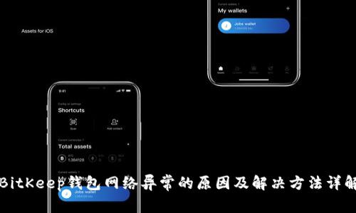 BitKeep钱包网络异常的原因及解决方法详解