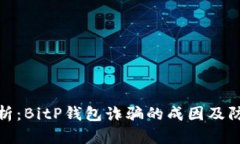 深度解析:BitP钱包诈骗的成因及防范措施
