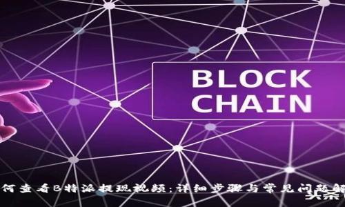 如何查看B特派提现视频:详细步骤与常见问题解答