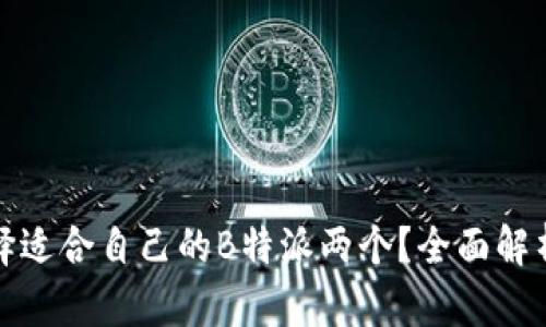 如何选择适合自己的B特派两个?全面解析与建议