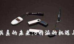 中巴关系的未来：B特派的机遇与挑战