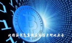 比特派钱包真假区别图片对比大全