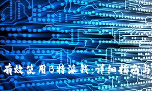 如何有效使用B特派钱:详细指南与技巧