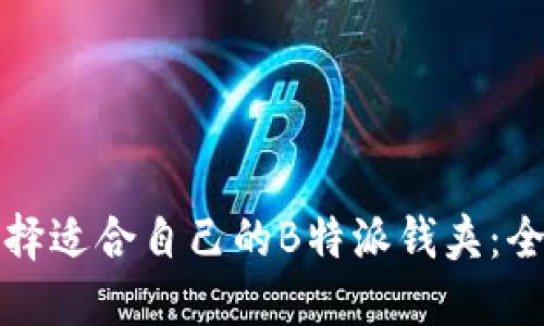如何选择适合自己的B特派钱夹：全面指南