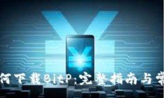 :苹果手机如何下载BitP:完整指南与常见问题解答