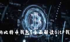  如何选择合适的比特币钱包？全面解读BitP钱包及
