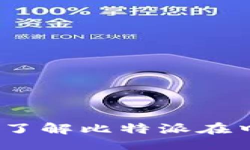 比特派国内网可以用吗

比特派国内网使用指南：了解比特派在中国的可用性与使用技巧