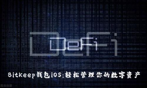 BitKeep钱包iOS：轻松管理你的数字资产