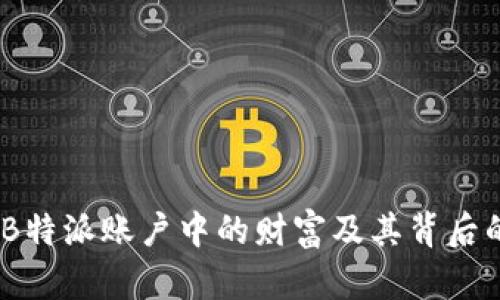 揭秘：B特派账户中的财富及其背后的秘密