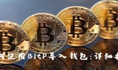 如何使用BitP导入钱包：详细指南