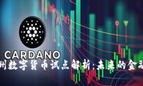 成都与苏州数字货币试点解析：未来的金融变革之路