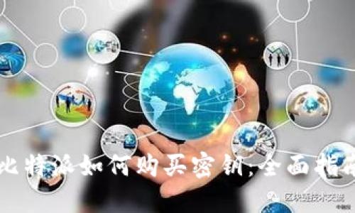 比特派如何购买密钥：全面指南