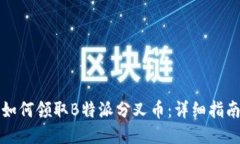 如何领取B特派分叉币：详细指南