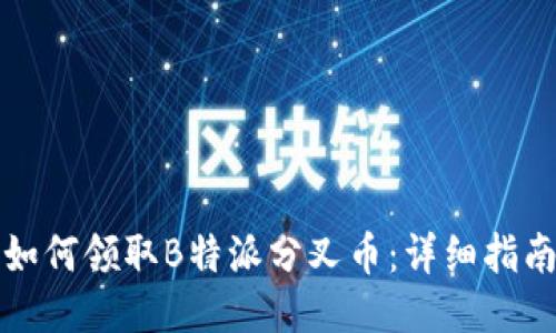 如何领取B特派分叉币：详细指南