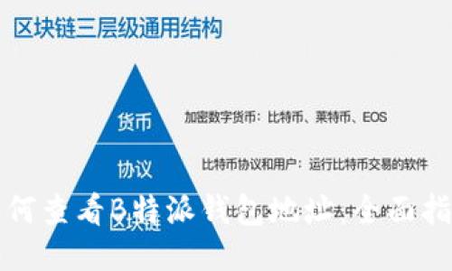 如何查看B特派钱包地址：全面指南