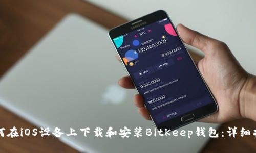 如何在iOS设备上下载和安装BitKeep钱包：详细指南